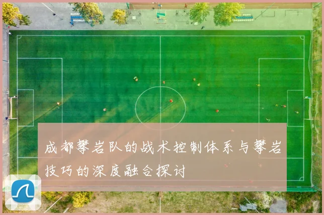 成都攀岩队的战术控制体系与攀岩技巧的深度融合探讨